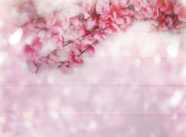 Baharın arka planında çiçek açan sakura kiraz çiçekleri çiçek açan çiçek doğası ve soyut bokeh                    