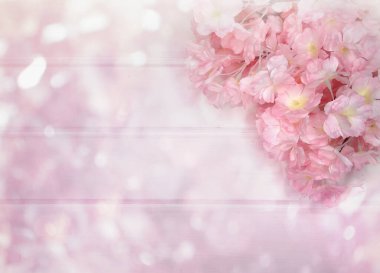 Baharın arka planında çiçek açan sakura kiraz çiçekleri çiçek açan çiçek doğası ve soyut bokeh                    