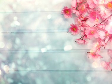 Baharın arka planında çiçek açan sakura kiraz çiçekleri çiçek açan çiçek doğası ve soyut bokeh                    