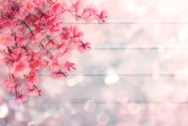 Baharın arka planında çiçek açan sakura kiraz çiçekleri çiçek açan çiçek doğası ve soyut bokeh                    