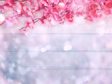 Baharın arka planında çiçek açan sakura kiraz çiçekleri çiçek açan çiçek doğası ve soyut bokeh                    