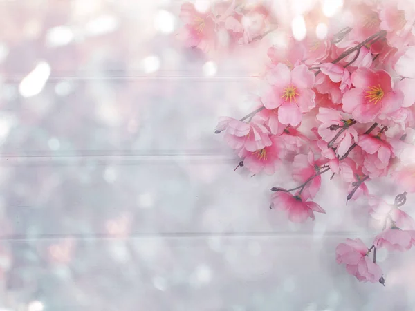Frühling Hintergrund Blühende Sakura Kirschblüten Blühen Florale Natur Und Abstraktes — Stockfoto