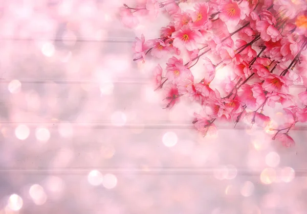 Baharın Arka Planında Çiçek Açan Sakura Kiraz Çiçekleri Çiçek Açan — Stok fotoğraf