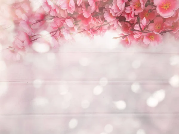 春天的背景 盛开的樱花 开的樱花 花的自然与抽象的Bokeh — 图库照片