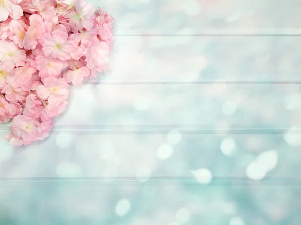Весенний Фон Цветущий Сакура Вишня Цветы Цветут Цветочный Характер Абстрактные — стоковое фото