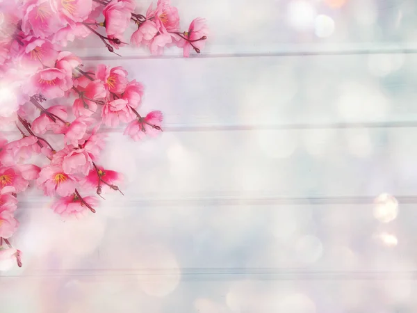 Primavera Backgroung Floração Sakura Cereja Flores Flor Floral Natureza Abstrato — Fotografia de Stock