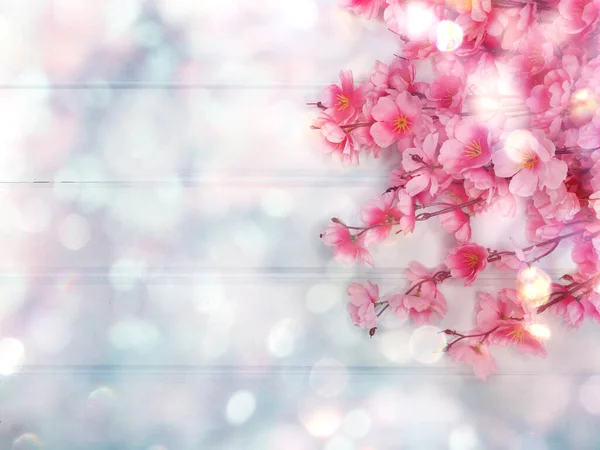 Lente Achtergrond Bloeiende Sakura Kers Bloemen Bloesem Bloemen Natuur Abstracte — Stockfoto