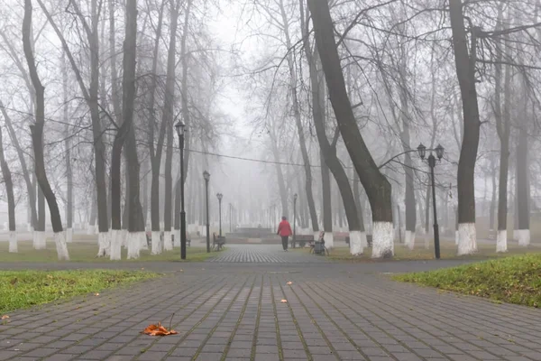 Туман Городском Парке Избирательный Фокус — стоковое фото