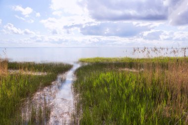 Yaz suyu manzarası Göl Çimen Güneşi sisi