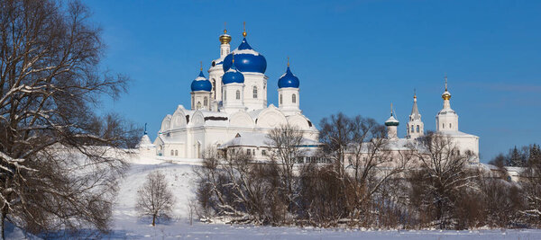 Свято-Боголюбский монастырь. Комплекс культовых зданий в зимний день. 
