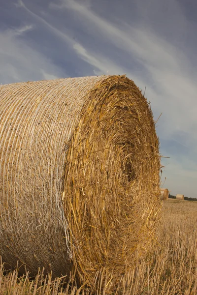 Bale jerami — Stok Foto