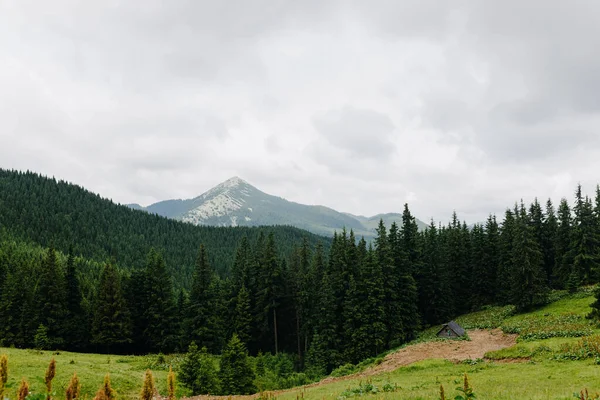 Panorama Naturel Montagnes Verdoyantes Ciel Nuageux Photo Haute Qualité — Photo
