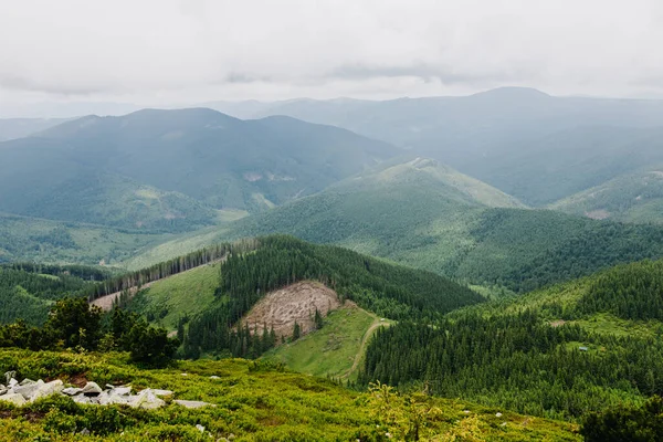 Szeroka panorama górskich wzgórz w pochmurną pogodę. Krajobraz Karpat w lecie. — Zdjęcie stockowe