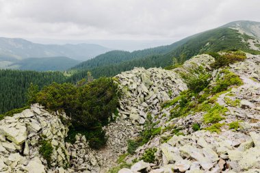 Yaz mevsiminde Karpatlar. Avrupa 'da aktif turizm için seyahat hedefi.