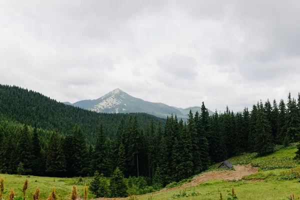 Panorama naturel de montagnes verdoyantes et ciel nuageux. — Photo