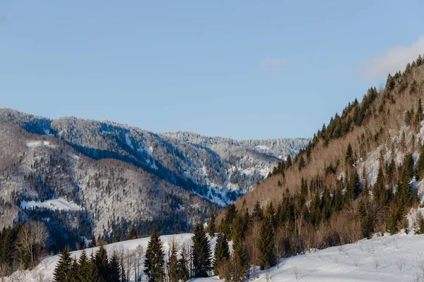 Winterlandschap Georgië Gomarduli Hoge Kwaliteit Foto — Stockfoto