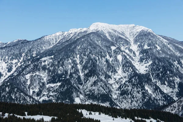 Paesaggio Montano Inverno Foto Alta Qualità — Foto Stock