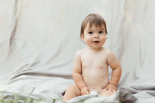 Gri Arka Planda Oturan Bebek Yüksek Kalite Fotoğraf — Stok fotoğraf