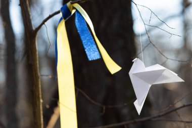 Beyaz kağıt Ukrayna bayrağı renginde bir kurdelenin arka planında bir dalda origami güvercini. Barış kavramı. Yüksek kalite fotoğraf