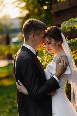  Güzel yeni evliler gün batımında parkta sarılıyorlar. Yüksek kalite fotoğraf