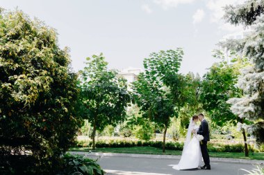 Yeni evliler parkta yürüyorlar da. Gelin ve damat yazın parkta yürüyorlar, sarılıyorlar. Arka planda ağaçlar var. Yüksek kalite fotoğraf
