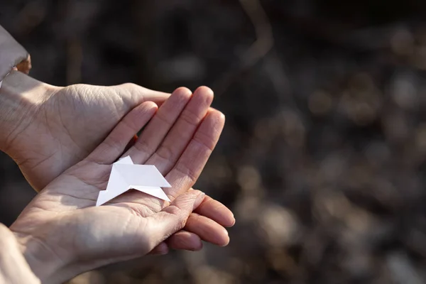 Libro blanco paloma origami en las manos de una niña. — Foto de Stock