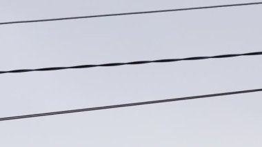  Şiddetli buz ve kasırga nedeniyle elektrik hatları sallanıyor