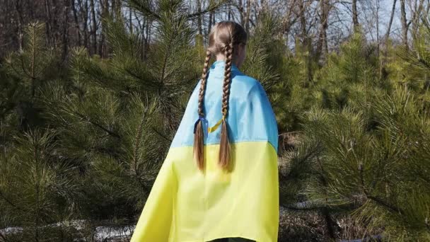 Маленькая девочка под украинским флагом — стоковое видео