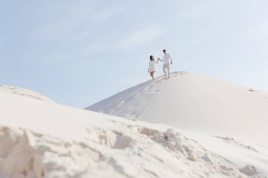  Gelin ve damat dağın yamacından iniyorlar. Yüksek kalite fotoğraf