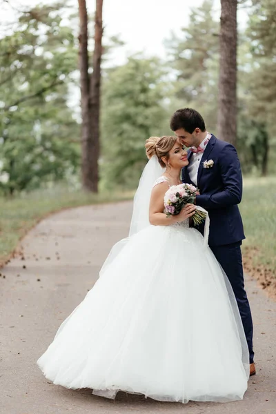 Bride Groom Hugging Standing Pine Forest Asphalt Path High Quality — Foto de Stock