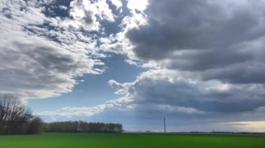 Bahar buğdayının yeşil tarlası ve mavi gökyüzünde yüzen bulutlar. Yüksek kalite 4k görüntü