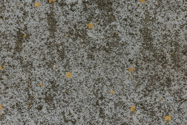 kaba duvar dokusu arkaplan koleksiyonu. Panorama 'daki hasarlı yosunlu duvar yüzeyi. İç mekan, dekorasyon, duvar kağıdı vs. için 3D desenli arka plan. Yüksek kalite fotoğraf