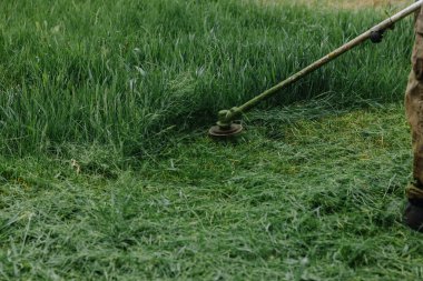 Bir el çim biçme makinesiyle çimleri biçmek. Çimleri biçme süreci. Yakın plan. Yüksek kalite fotoğraf