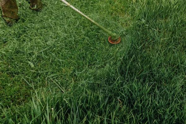 Man Mows Grass Lawn Lawn Mower Home Improvement Close High — Stock Photo, Image