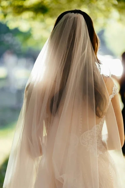 Bride Poses Her Stylish Wedding Dress Sunset Photo Back High — Stock Photo, Image