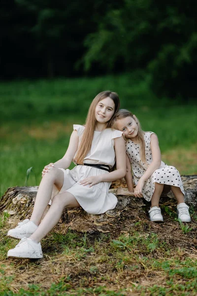 Two Little Girls Summer Dresses Sitting Stump Park Laughing High — Stock fotografie