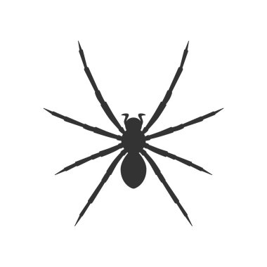 Örümcek grafik ikonu. Örümcek siyahı işareti beyaz arka planda izole edilmiş. Vektör illüstrasyonu