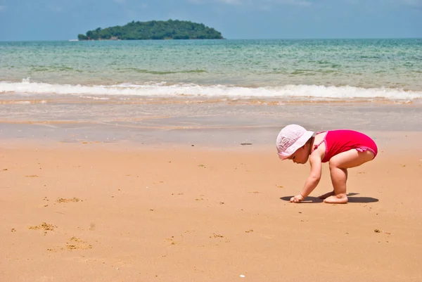 Little girl is looking for shells on the beach — Stock Photo, Image