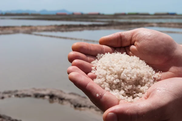 Handful of sea salt in the hands of the background of salt field — Stock Photo, Image