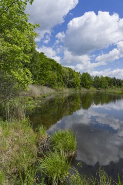 Yüksek kıyı boyunca akan küçük bir nehrin eski yatağı yavaş yavaş hızını kaybeder ve bir orman gölüne dönüşür. Suya yansıyan kırmızı bulutlar