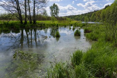 Yüksek kıyıdan akan küçük bir nehrin eski yatağı yavaş yavaş şimdiki hızını kaybeder ve bir göle dönüşür..