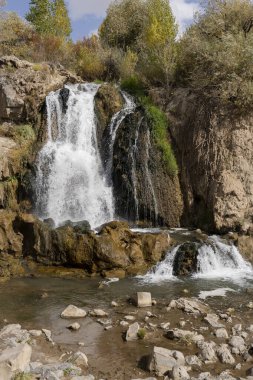 Güz yaprak döken bir ormanın arka planında güzel bir çoklu jet şelalesi.