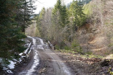 Dirt road in a mountainous area passing through a forest with a bridge