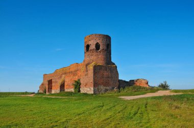 Ruins of medieval castle. Kolo, Greater Poland Voivodeship, Poland.