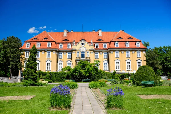 Ludwik Karol Von Ballestrem Palace Kochcice Silesian Voivodeship Poland — Zdjęcie stockowe
