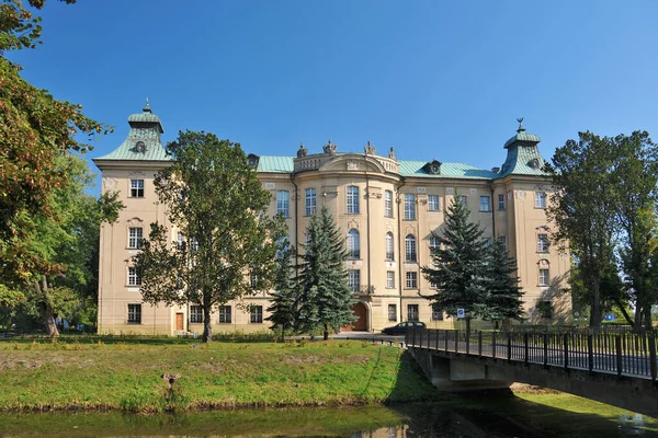 Замок Ридзині Велика Польща Воєводство Польща — стокове фото