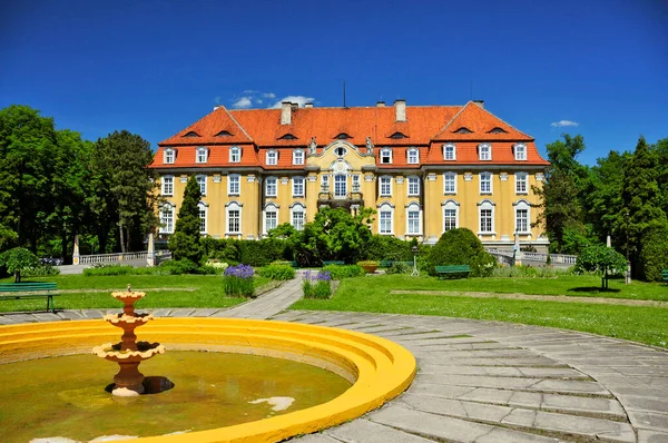 Ludwik Karol Von Ballestrem Palace Kochcice Silesian Voivodeship Poland — Stok fotoğraf