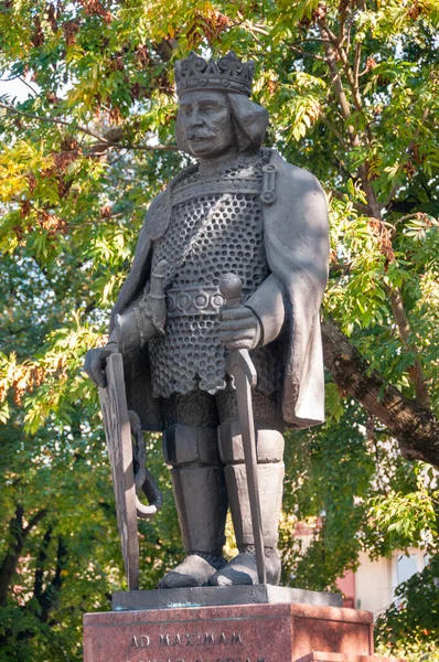 Monument Wadysaw Elbow High Kuyavian Brest Kuyavian Pomeranian Voivodeship Poland — Foto de Stock