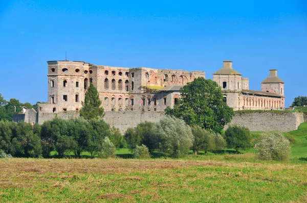 Krzyztopor Castle Ujazd Swietokrzyskie Voivodeship Poland — 스톡 사진