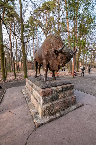 Wisent Statue Spala Lodz Voivodeship Poland — ストック写真